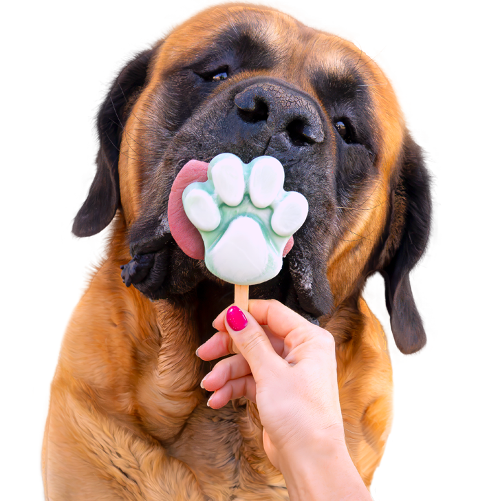 Dolci e merende per cani e gatti